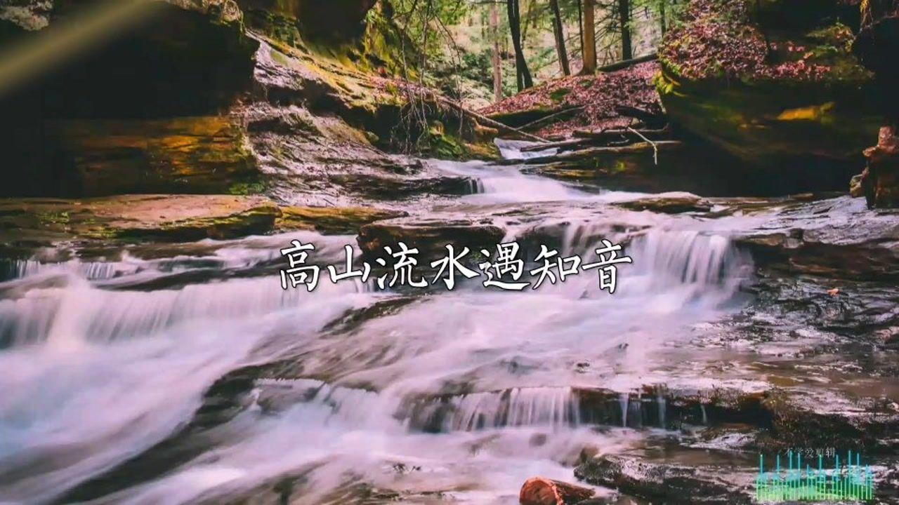 春雨直播app